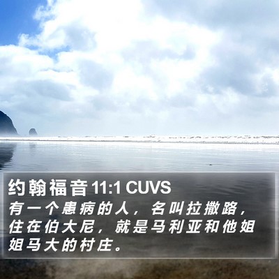 约 翰 福 音 11:1 CUVS Bible Verse Image