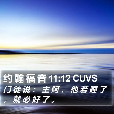 约 翰 福 音 11:12 CUVS Bible Verse Image