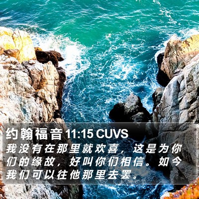 约 翰 福 音 11:15 CUVS Bible Verse Image