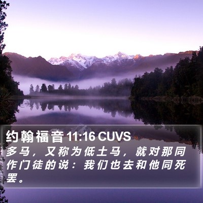 约 翰 福 音 11:16 CUVS Bible Verse Image