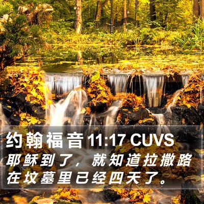 约 翰 福 音 11:17 CUVS Bible Verse Image