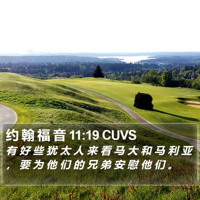 约 翰 福 音 11:19 CUVS Bible Verse Image