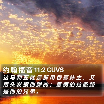 约 翰 福 音 11:2 CUVS Bible Verse Image