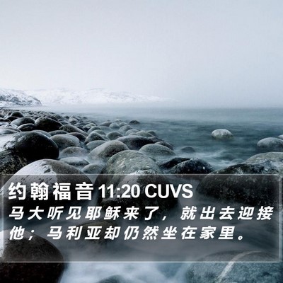 约 翰 福 音 11:20 CUVS Bible Verse Image