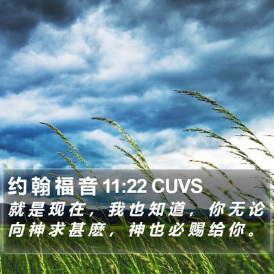 约 翰 福 音 11:22 CUVS Bible Verse Image