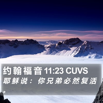 约 翰 福 音 11:23 CUVS Bible Verse Image