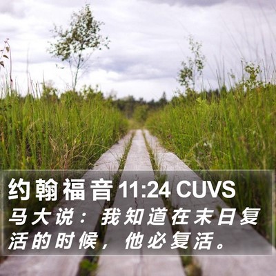 约 翰 福 音 11:24 CUVS Bible Verse Image