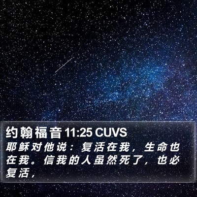 约 翰 福 音 11:25 CUVS Bible Verse Image