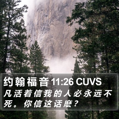 约 翰 福 音 11:26 CUVS Bible Verse Image