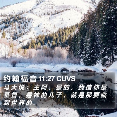 约 翰 福 音 11:27 CUVS Bible Verse Image