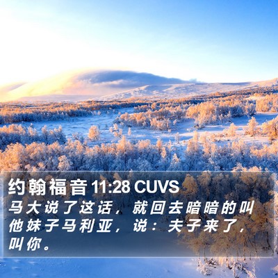 约 翰 福 音 11:28 CUVS Bible Verse Image