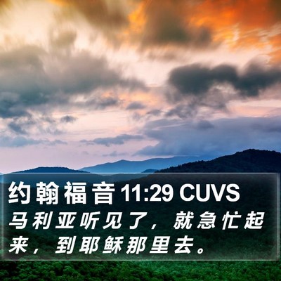 约 翰 福 音 11:29 CUVS Bible Verse Image