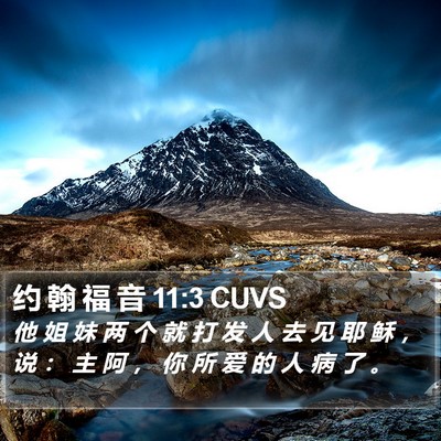 约 翰 福 音 11:3 CUVS Bible Verse Image