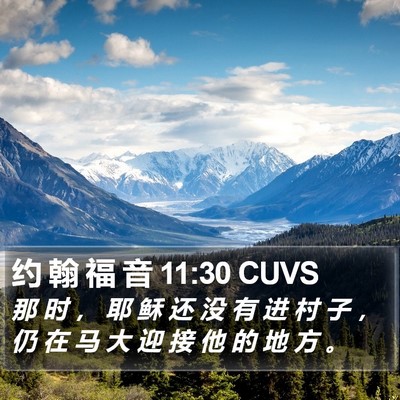 约 翰 福 音 11:30 CUVS Bible Verse Image