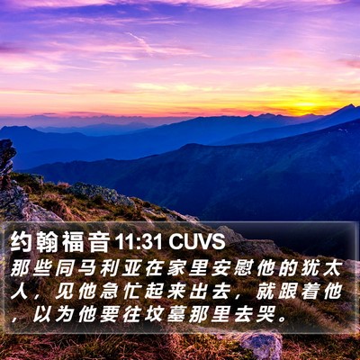 约 翰 福 音 11:31 CUVS Bible Verse Image