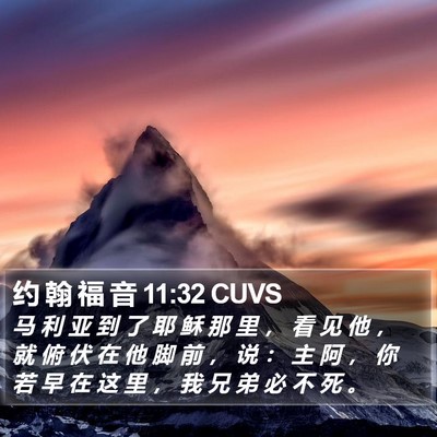 约 翰 福 音 11:32 CUVS Bible Verse Image