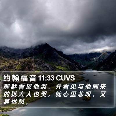 约 翰 福 音 11:33 CUVS Bible Verse Image