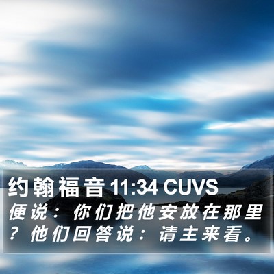 约 翰 福 音 11:34 CUVS Bible Verse Image