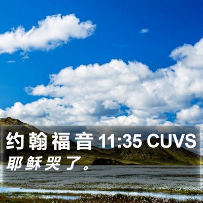 约 翰 福 音 11:35 CUVS Bible Verse Image