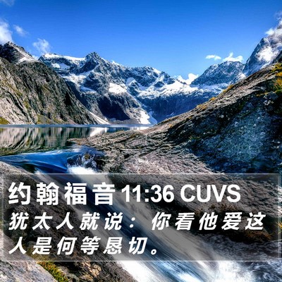 约 翰 福 音 11:36 CUVS Bible Verse Image