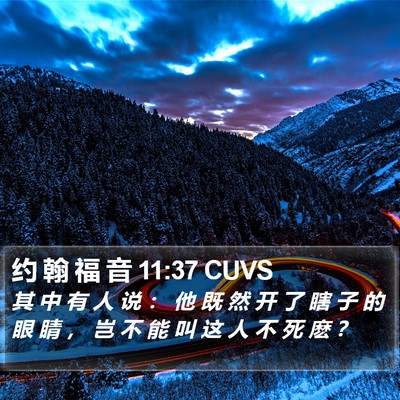 约 翰 福 音 11:37 CUVS Bible Verse Image