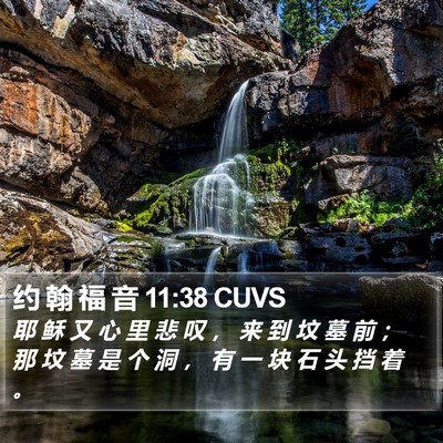 约 翰 福 音 11:38 CUVS Bible Verse Image