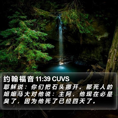约 翰 福 音 11:39 CUVS Bible Verse Image