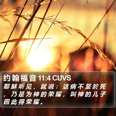 约 翰 福 音 11:4 CUVS Bible Verse Image