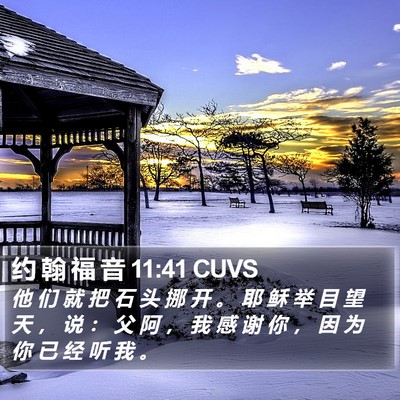 约 翰 福 音 11:41 CUVS Bible Verse Image