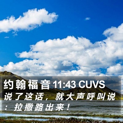 约 翰 福 音 11:43 CUVS Bible Verse Image