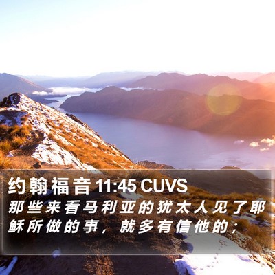约 翰 福 音 11:45 CUVS Bible Verse Image