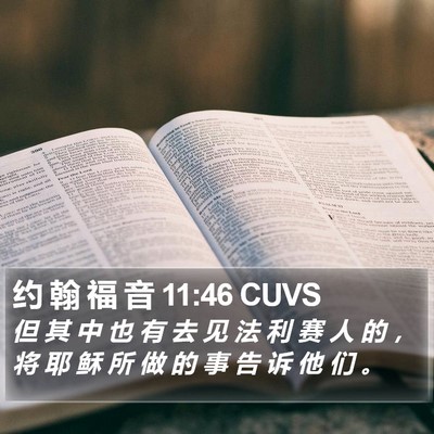 约 翰 福 音 11:46 CUVS Bible Verse Image