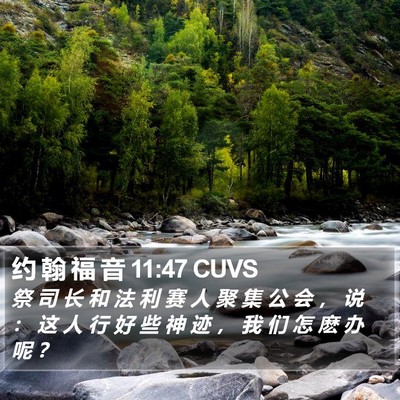 约 翰 福 音 11:47 CUVS Bible Verse Image