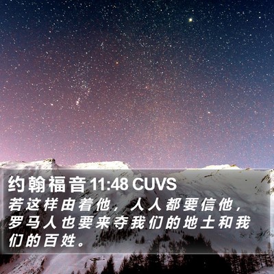 约 翰 福 音 11:48 CUVS Bible Verse Image