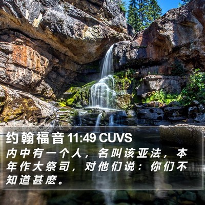 约 翰 福 音 11:49 CUVS Bible Verse Image