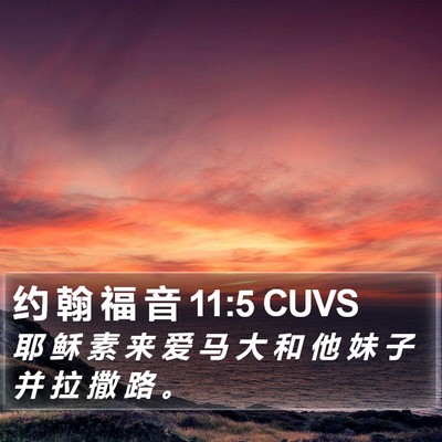 约 翰 福 音 11:5 CUVS Bible Verse Image