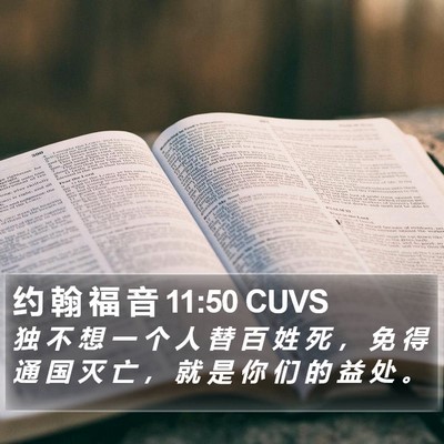 约 翰 福 音 11:50 CUVS Bible Verse Image