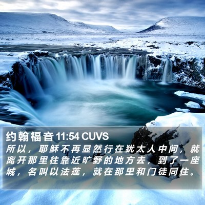 约 翰 福 音 11:54 CUVS Bible Verse Image