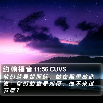 约 翰 福 音 11:56 CUVS Bible Verse Image