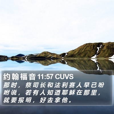 约 翰 福 音 11:57 CUVS Bible Verse Image