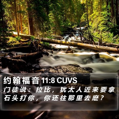 约 翰 福 音 11:8 CUVS Bible Verse Image