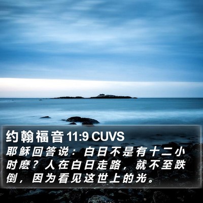 约 翰 福 音 11:9 CUVS Bible Verse Image