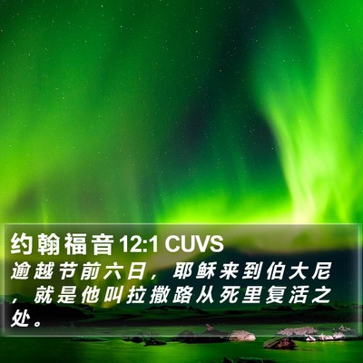 约 翰 福 音 12:1 CUVS Bible Verse Image