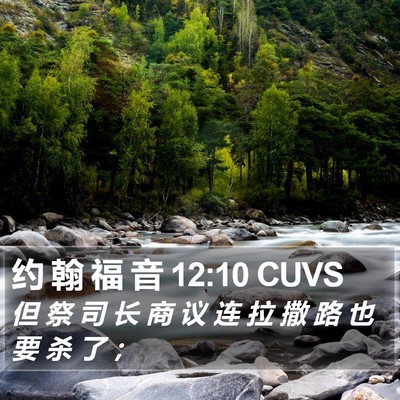 约 翰 福 音 12:10 CUVS Bible Verse Image