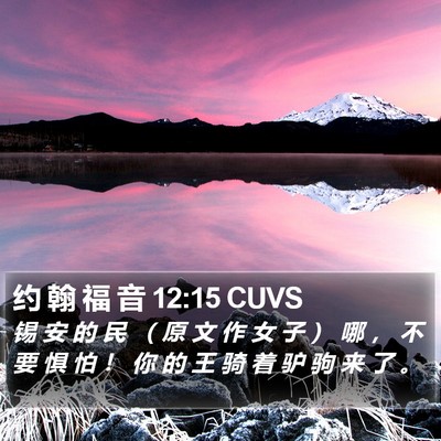 约 翰 福 音 12:15 CUVS Bible Verse Image