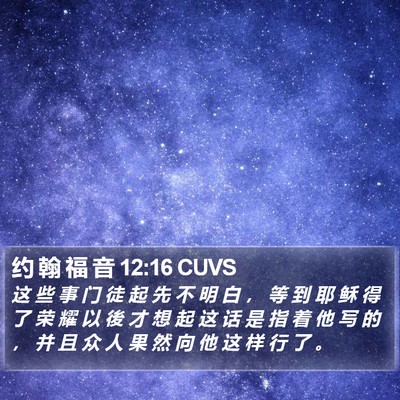 约 翰 福 音 12:16 CUVS Bible Verse Image