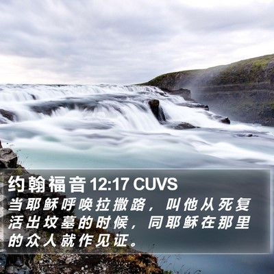 约 翰 福 音 12:17 CUVS Bible Verse Image