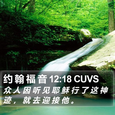 约 翰 福 音 12:18 CUVS Bible Verse Image