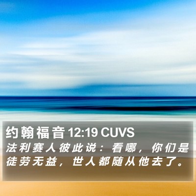 约 翰 福 音 12:19 CUVS Bible Verse Image