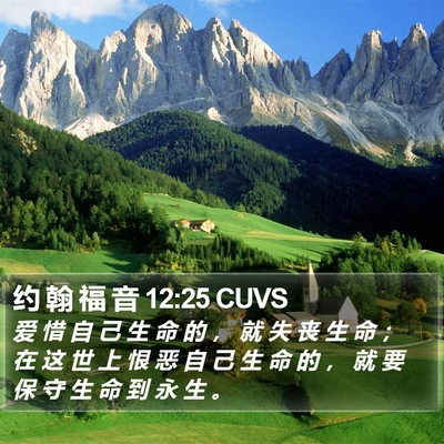 约 翰 福 音 12:25 CUVS Bible Verse Image